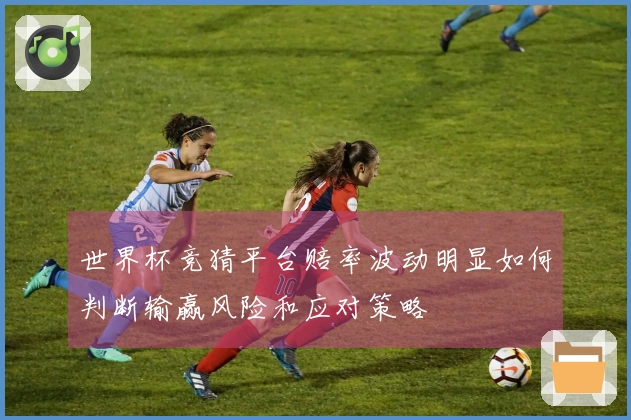 世界杯竞猜平台赔率波动明显如何判断输赢风险和应对策略